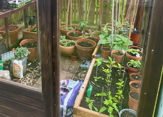 Ecowitt Soil Moisture Sensor
