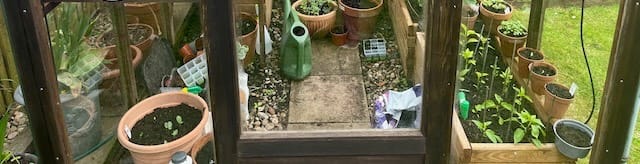 Ecowitt Soil Moisture Sensor
