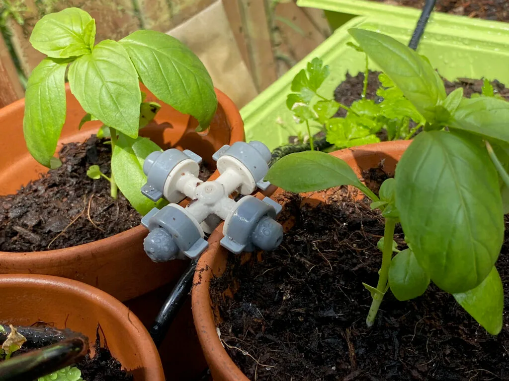 automated greenhouse watering