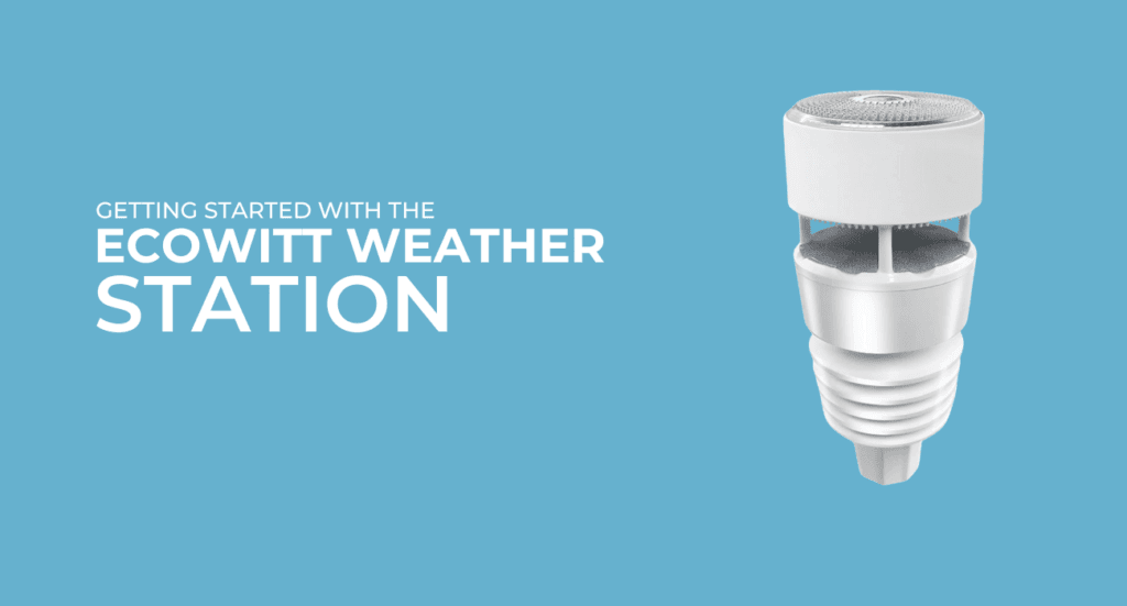 Ecowitt Wittboy Review