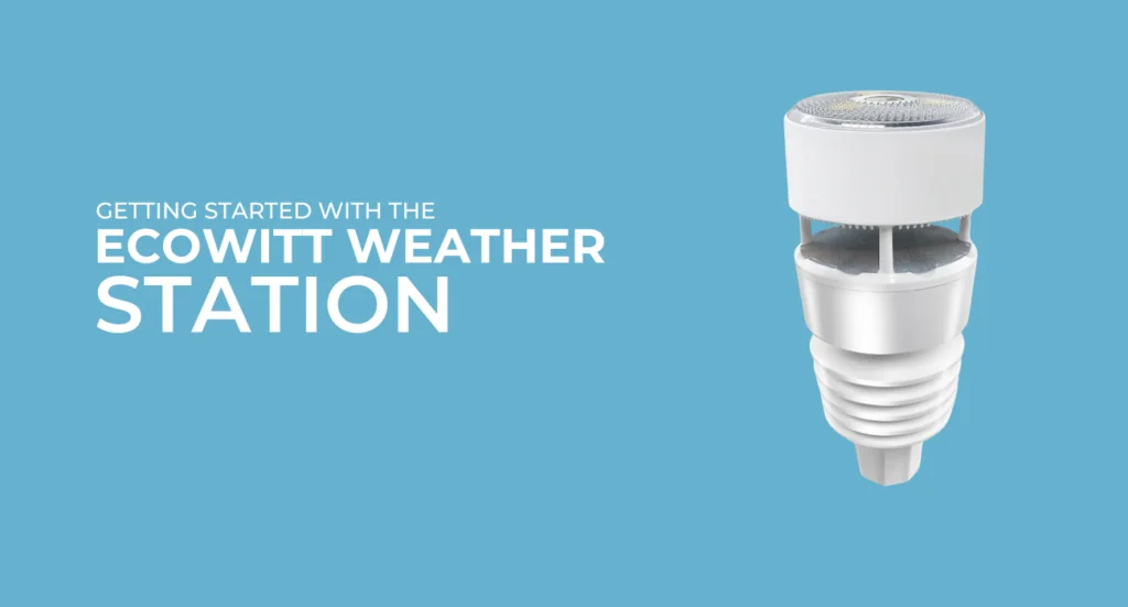 Ecowitt Wittboy Review