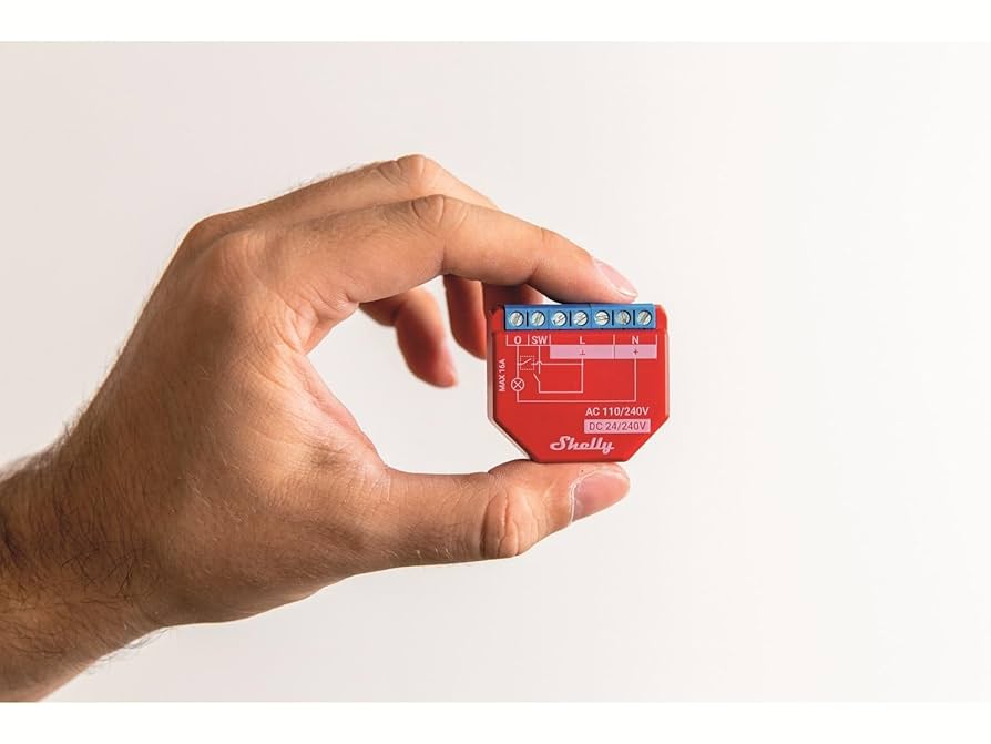 Shelly and home assistant
