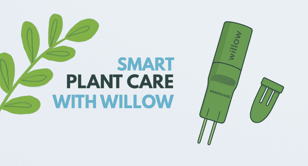 Willow Plant Sensor review