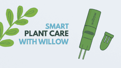 Willow Plant Sensor review