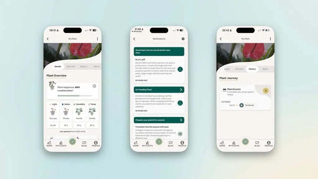 willow review