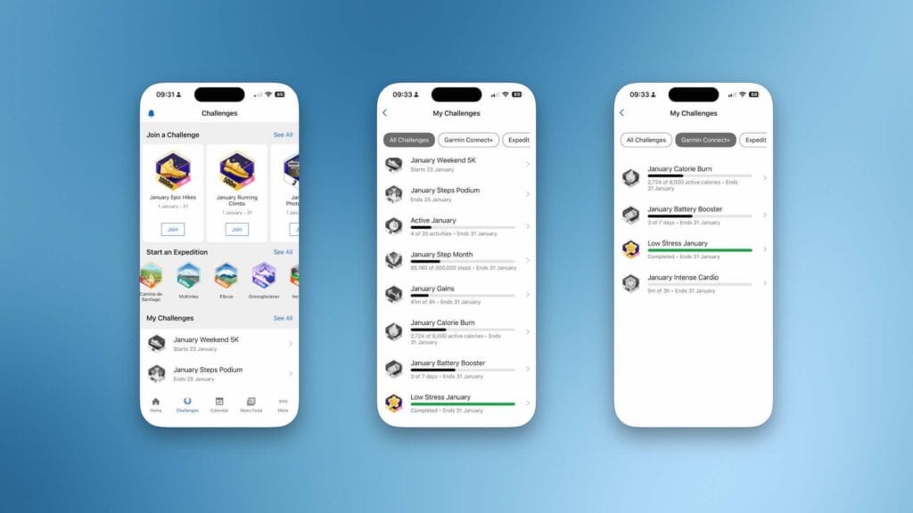Garmin Fenix 5 Badge collection