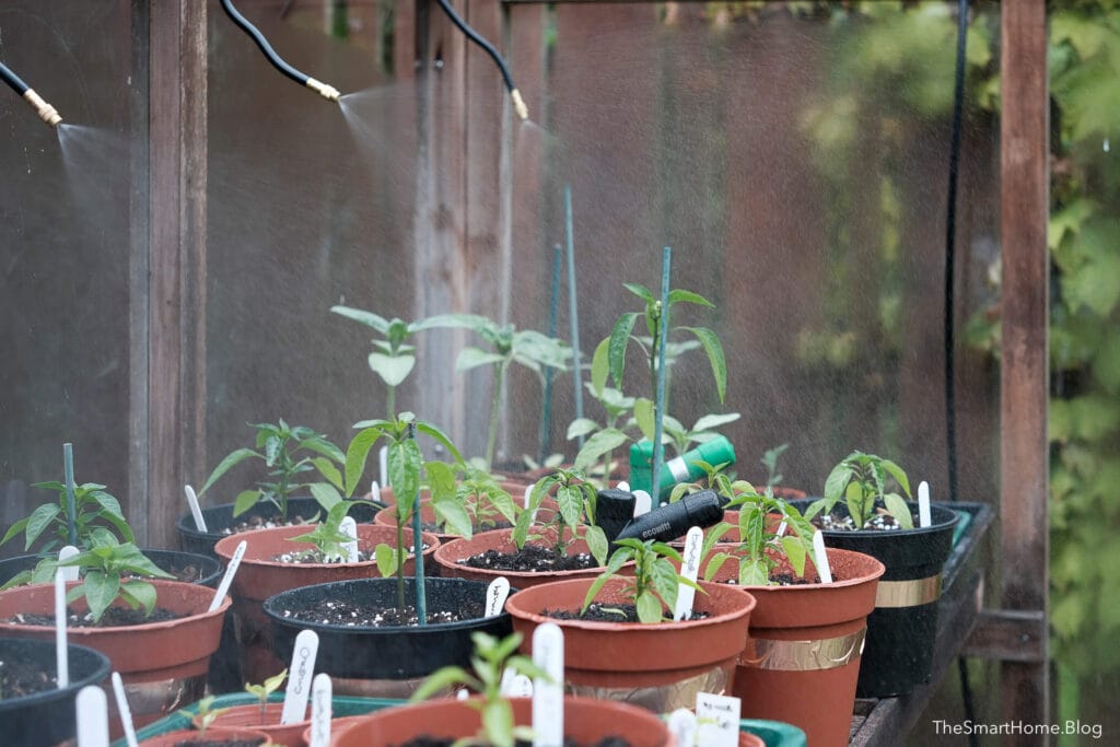 Smart watering with the Ecowitt WH52