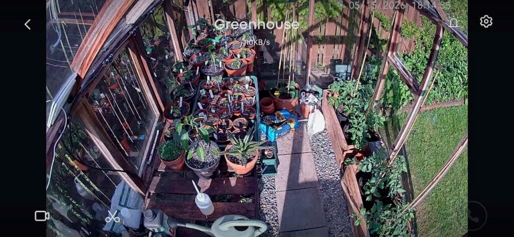 onlyplants